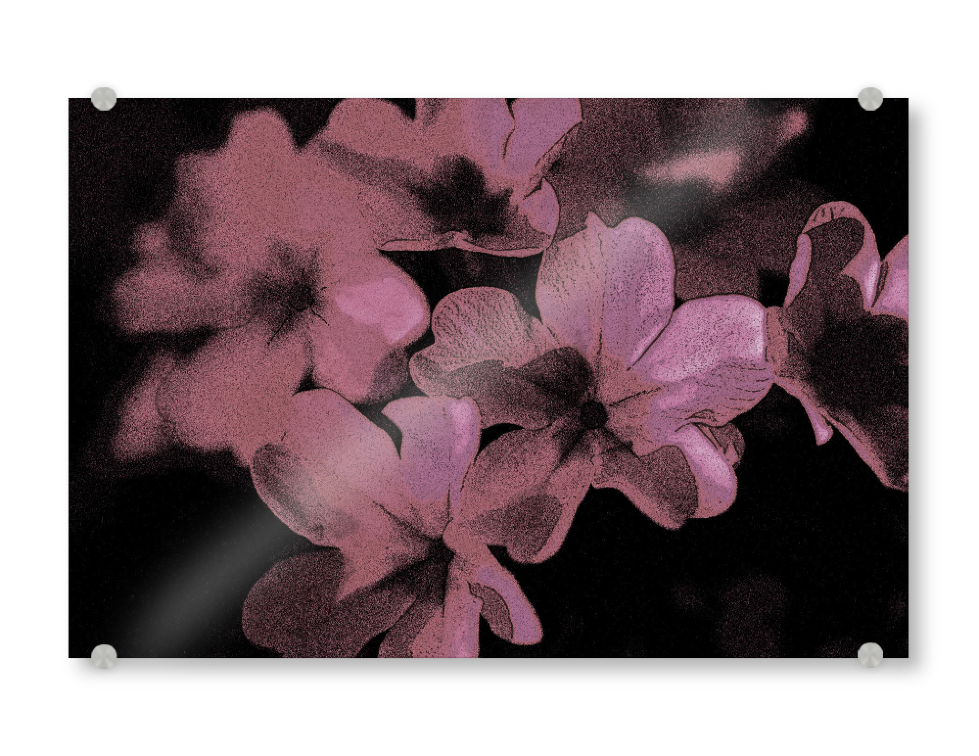 Acrylglasbild "Pop Art Blumen Rosa" artboxONE - Natur,Floral,Abstrakt,Für Mama