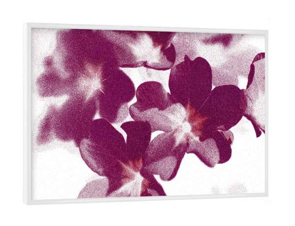 Poster mit weißem Rahmen "Abstrakte Blumen Lila Weiß" artboxONE - Natur,Floral,Abstrakt,Für Mama