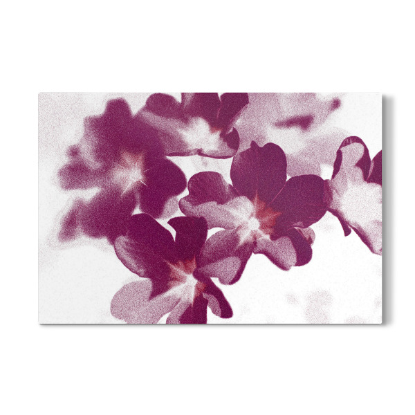 Galerie-Print "Abstrakte Blumen Lila Weiß" 30x20 cm artboxONE