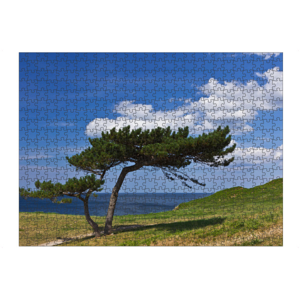 Puzzle Ravensburger "Baum an der Ostsee" artboxONE - Natur,Reise,Reise / Strand und Meer,Reise / Länder