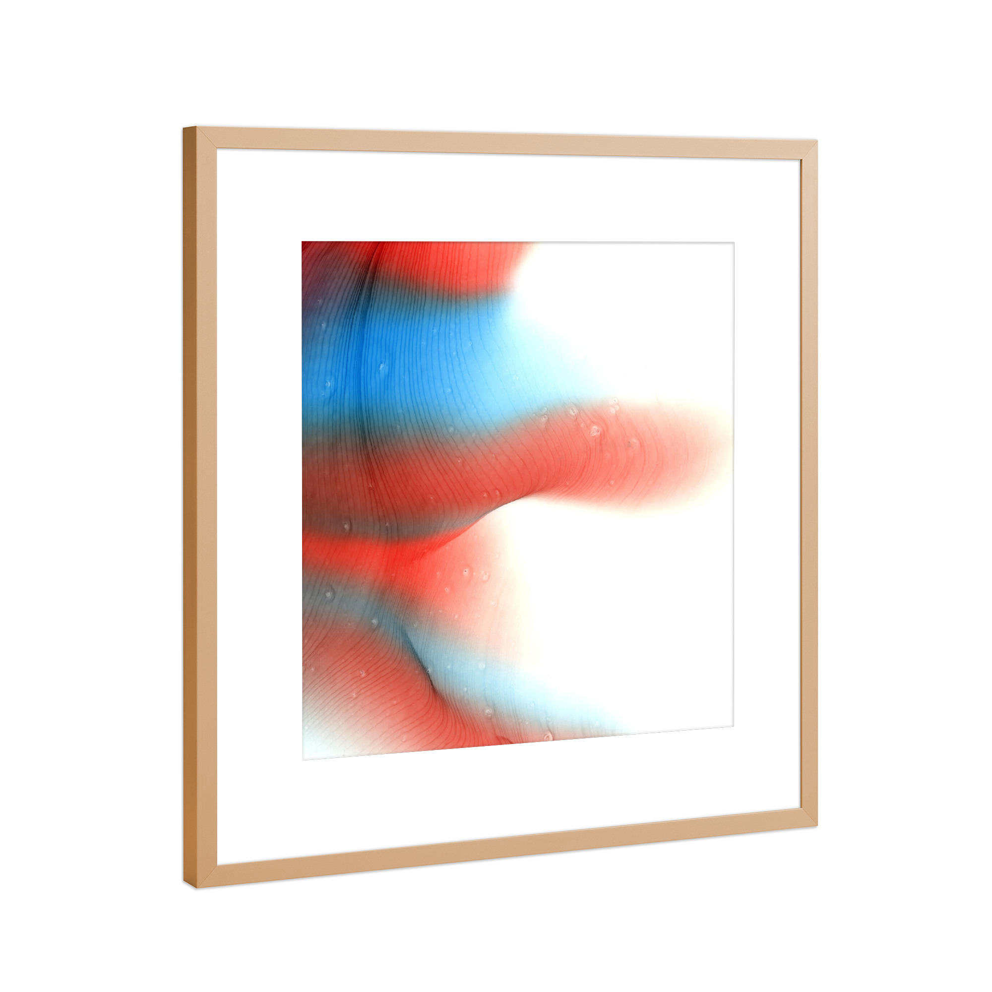 Poster mit Rahmen Kupfer "Blue but Red" artboxONE - Abstrakt