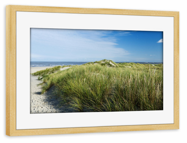 Poster mit Rahmen kiefer "Strandzugang mit Dünengras" artboxONE - Natur,Reise / Strand und Meer