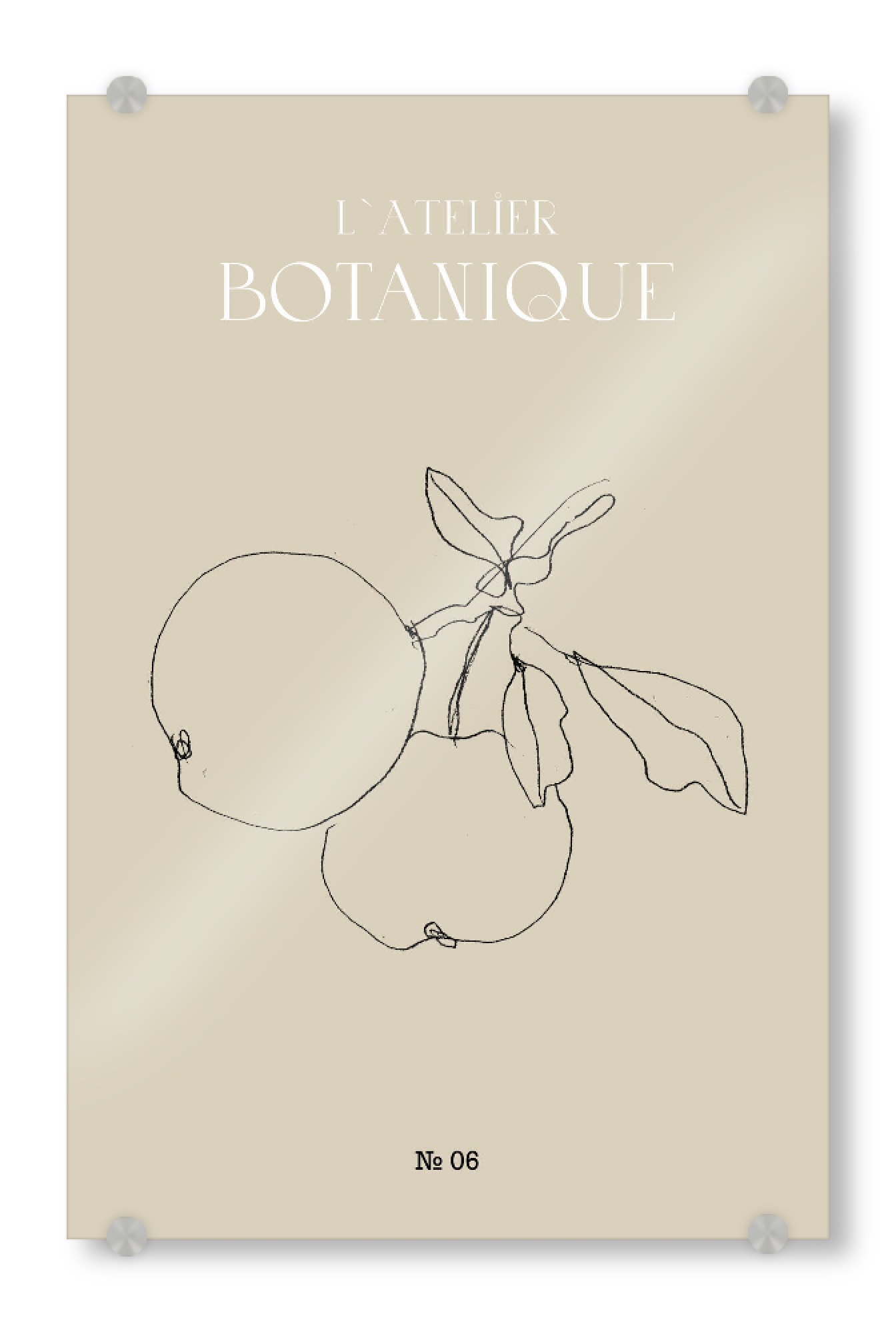 Acrylglasbild "Apples minimal pencil sketch" artboxONE - Typografie,Natur,Floral