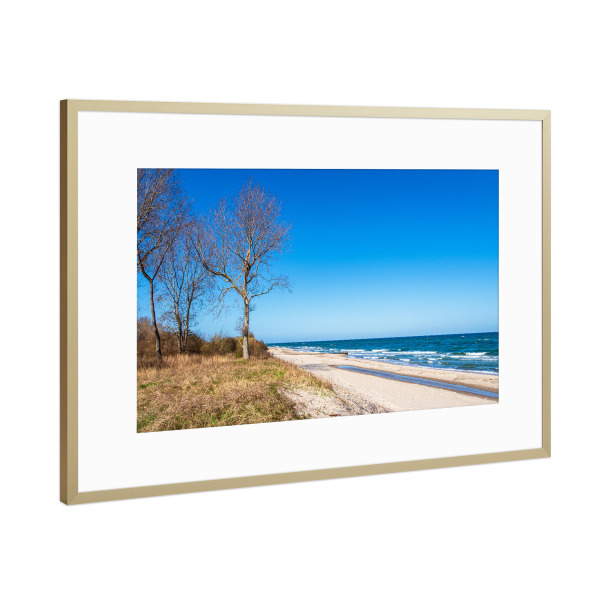 Poster mit Rahmen Gold "Bäume, Strand und Wellen" artboxONE - Natur,Reise,Reise / Strand und Meer