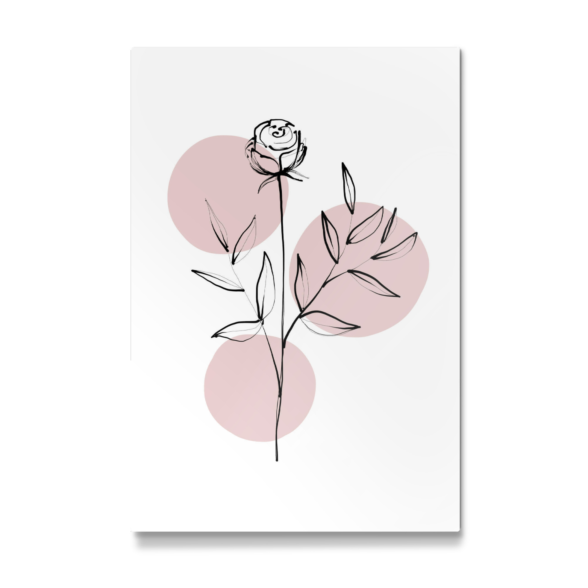 Galerie-Print "Buffiere-Botanicals Rose" 75x50 cm artboxONE