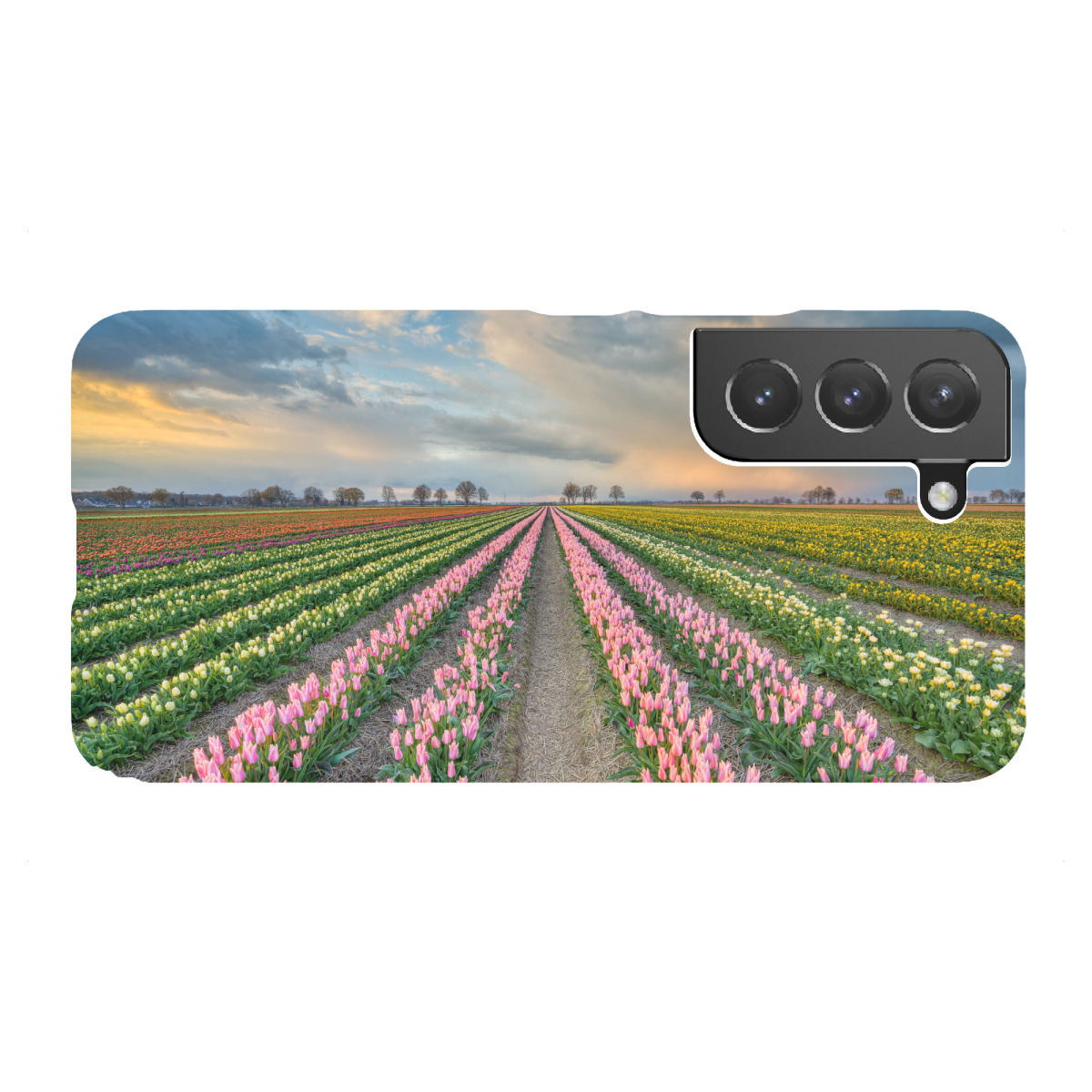 "Tulpenfeld Rheinland"für Samsung Galaxy - Premium-Case Handyhülle artboxONE