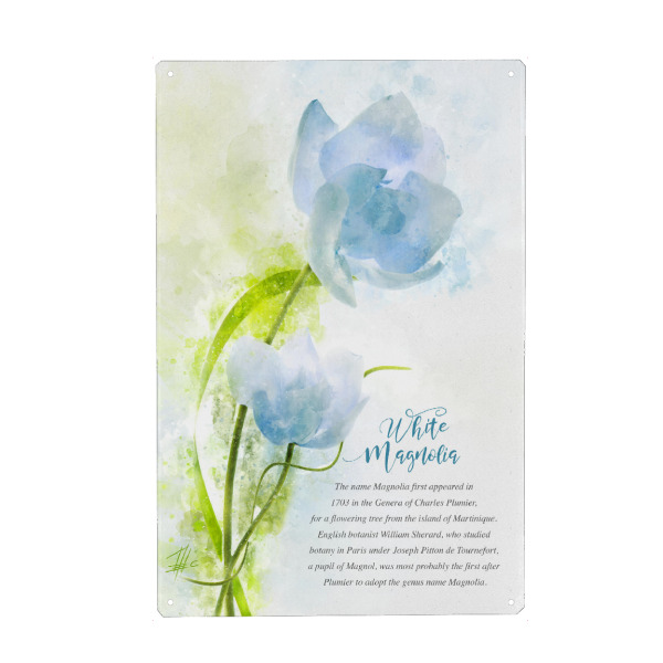 Holzbild "White Magnolia" artboxONE - Natur,Floral