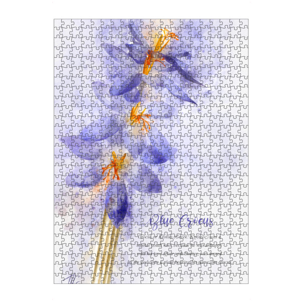 artboxONE Puzzle "Blue Crocus" artboxONE - Natur,Floral