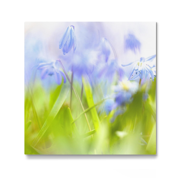 Galerie-Print "Blau und Grün" 30x30 cm artboxONE