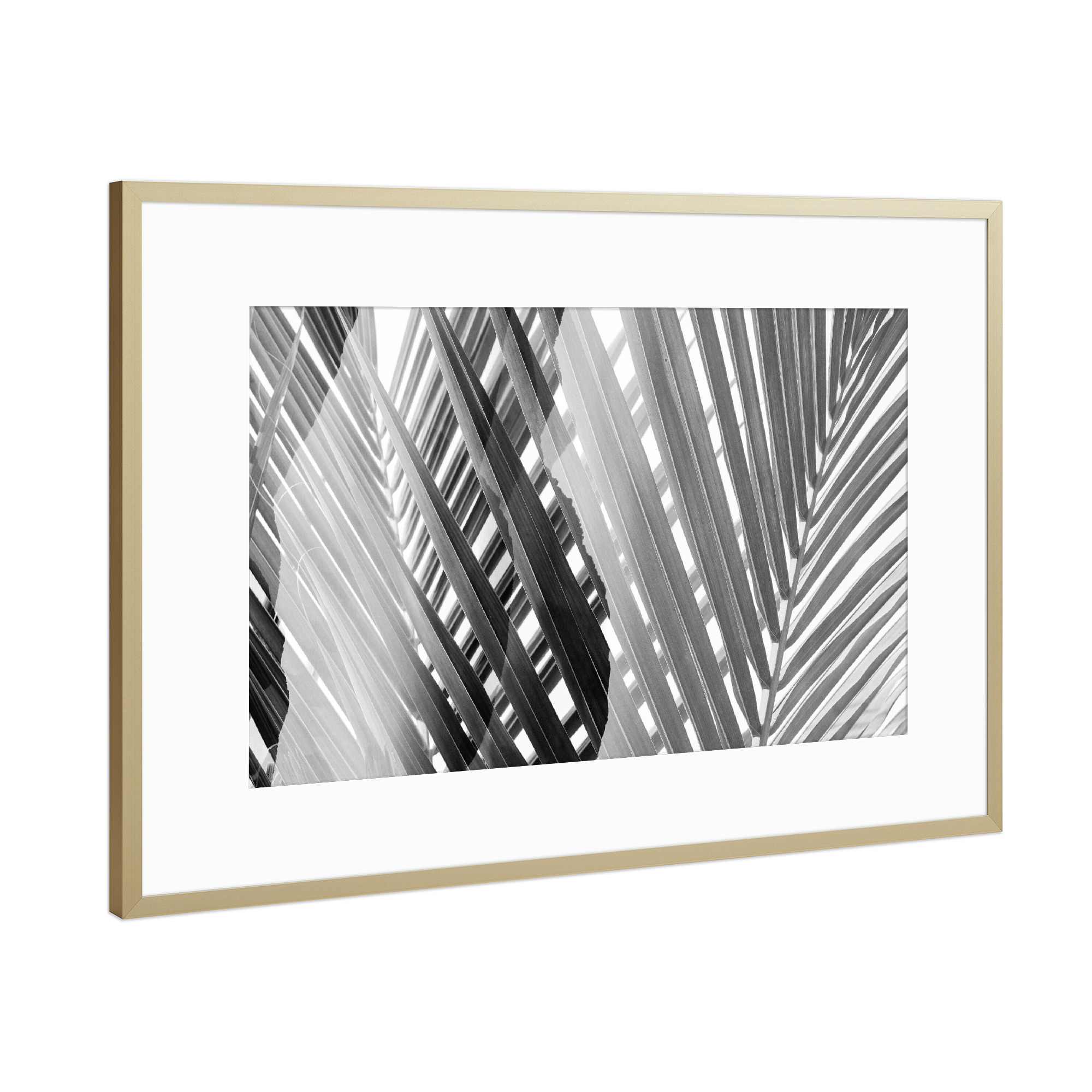 Poster mit Rahmen Gold "Tropical Leaves by Tas BW" artboxONE - Natur,Floral,Schwarzweiß