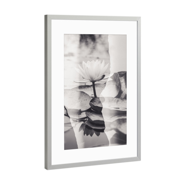 Poster mit Rahmen Silber "Lotus Blossom by Tas BW" artboxONE - Natur,Floral,Schwarzweiß
