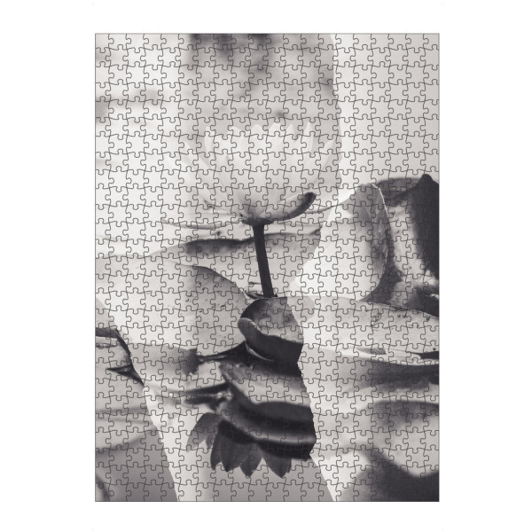 artboxONE Puzzle "Lotus Blossom by Tas BW" artboxONE - Natur,Floral,Schwarzweiß