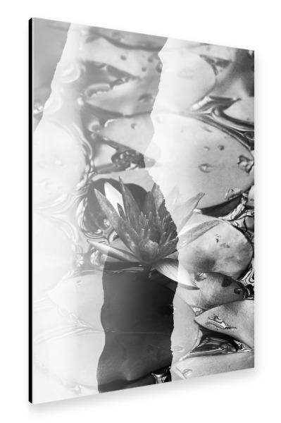 Alu-Dibond "Lotus by Tas BW" 30x20 cm artboxONE