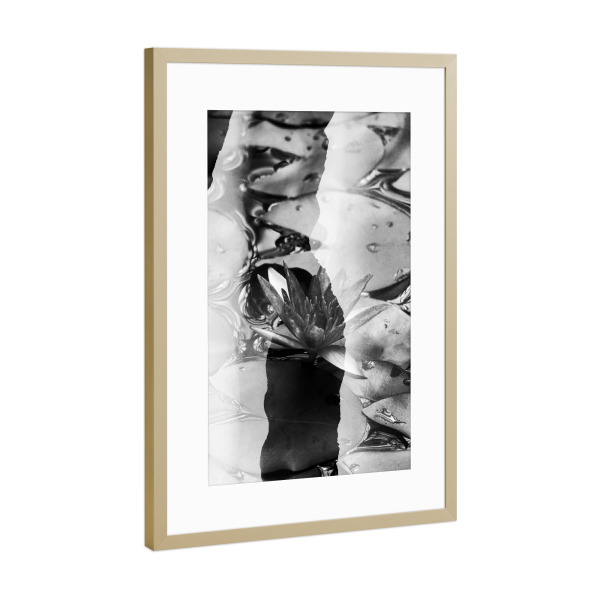 Poster mit Rahmen Gold "Lotus by Tas BW" artboxONE - Schwarzweiß