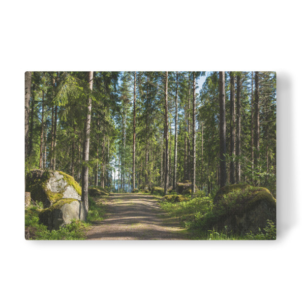 Leinwandbild "Weg zum See" artboxONE - Natur,Reise,Reise / Länder