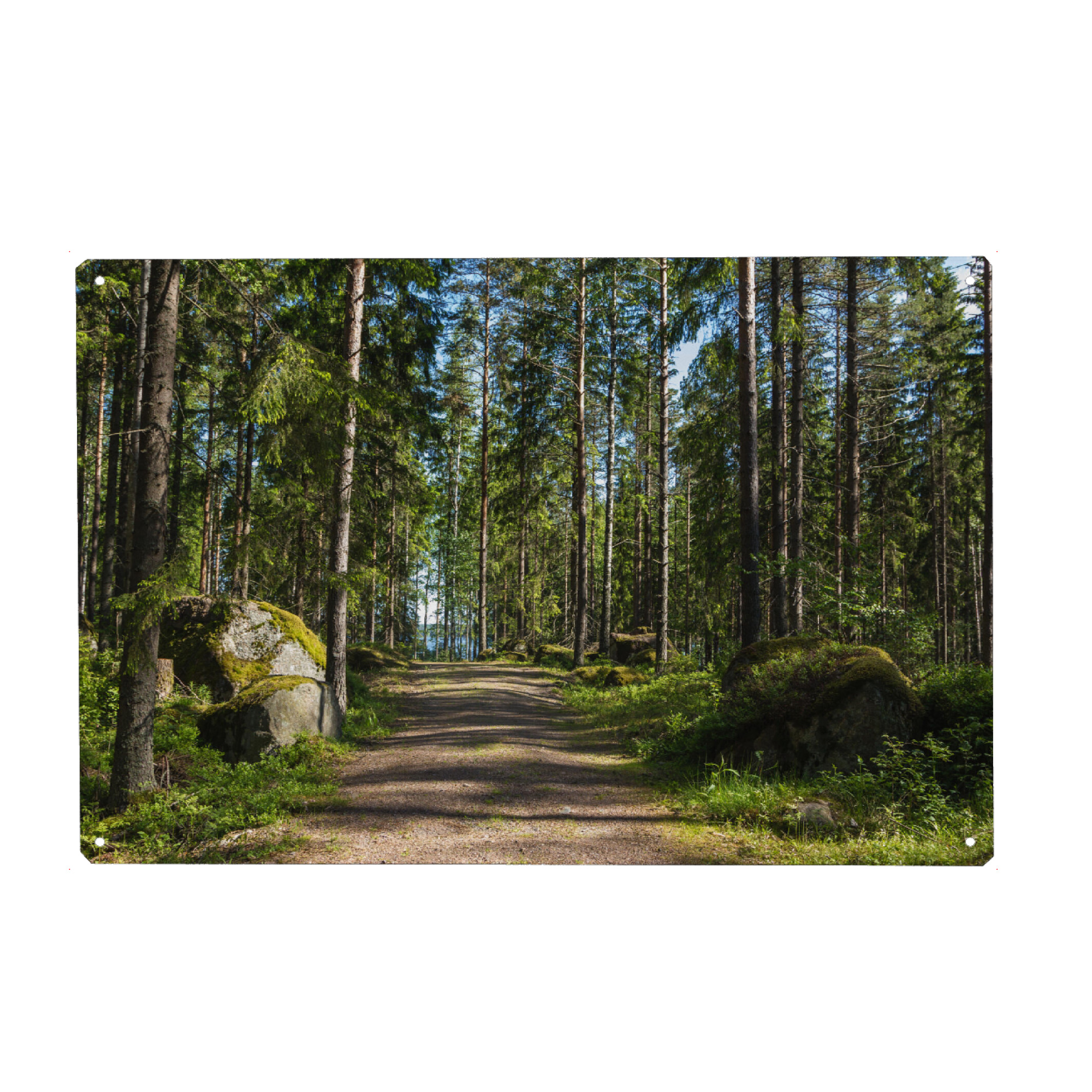 Metall Poster "Weg zum See" artboxONE - Natur,Reise,Reise / Länder