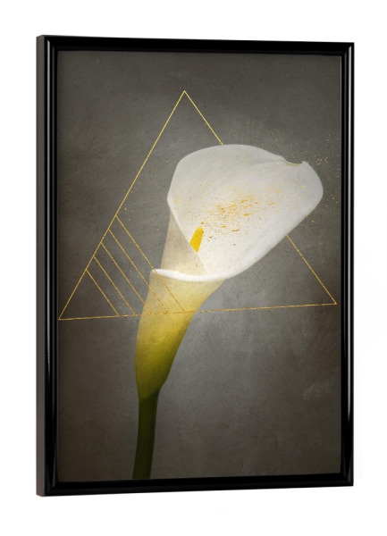 Poster mit schwarzem Rahmen "Calla | Vintage-Stil gold" artboxONE - Natur,Floral