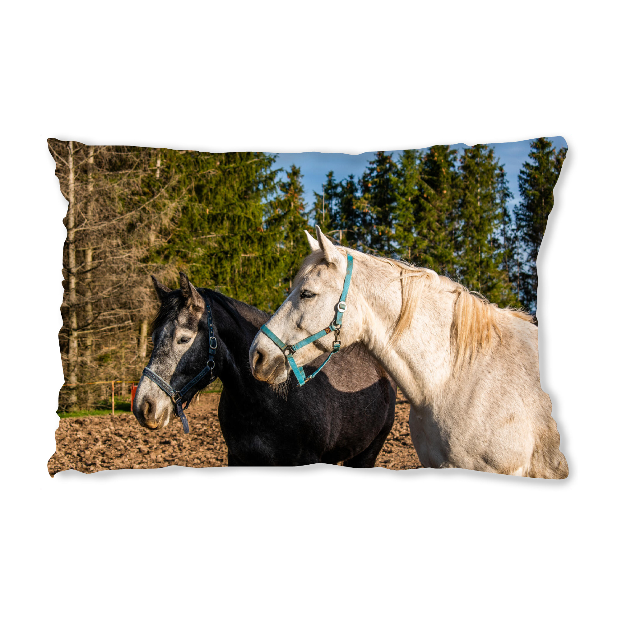 Design-Kissen "Pferde auf einer Weide" artboxONE - Natur,Reise,Tiere