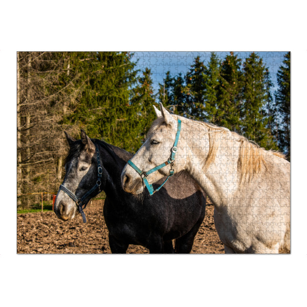 Puzzle Ravensburger "Pferde auf einer Weide" artboxONE - Natur,Reise,Tiere