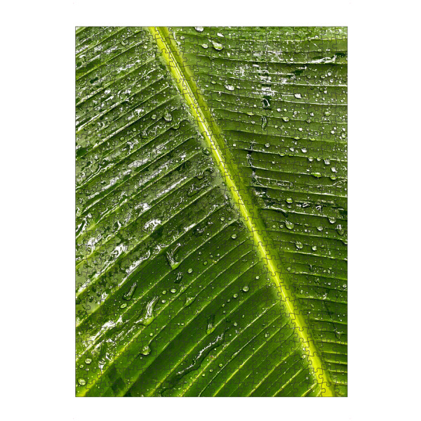 Puzzle Ravensburger "Tropfen auf einem Palmenblatt" artboxONE - Natur,Reise