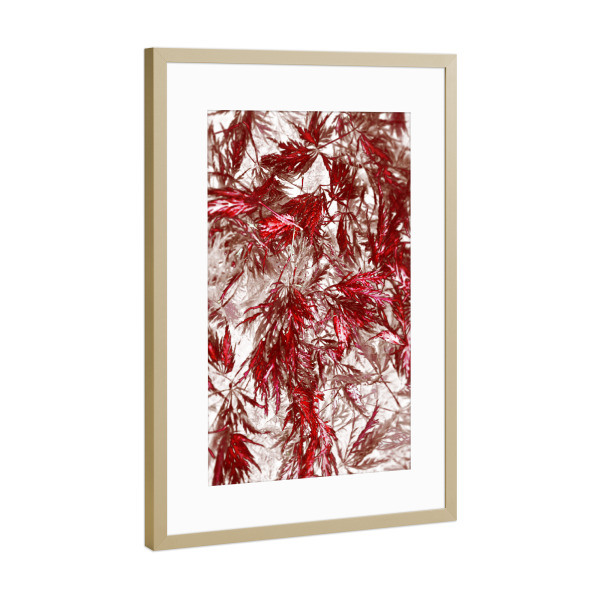 Poster mit Rahmen Gold "Blattwerk Rot Weiß" artboxONE - Natur,Floral,Abstrakt