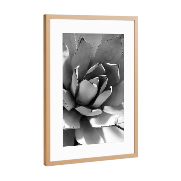 Poster mit Rahmen Kupfer "Agave Schwarz & Weiß" artboxONE - Natur,Floral,Abstrakt,Schwarzweiß,Für Mama