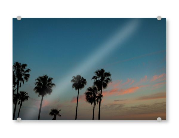 Acrylglasbild "The Palms" artboxONE - Städte,Natur,Reise,Reise / Strand und Meer,Städte / Los Angeles