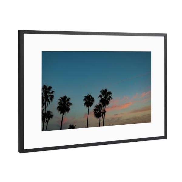 Poster mit Rahmen Schwarz (Metallic) "The Palms" artboxONE - Städte,Natur,Reise,Reise / Strand und Meer,Städte / Los Angeles