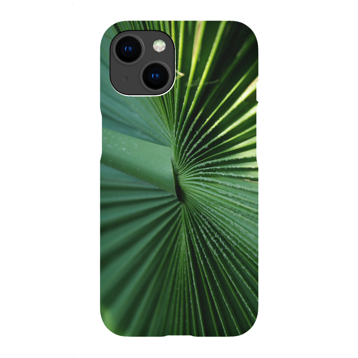 iPhone "Fächerpalmen Blatt" Premium-Case Handyhülle artboxONE