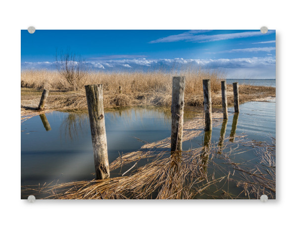 Acrylglasbild "Ahrenshoop Bodden" artboxONE - Natur,Reise