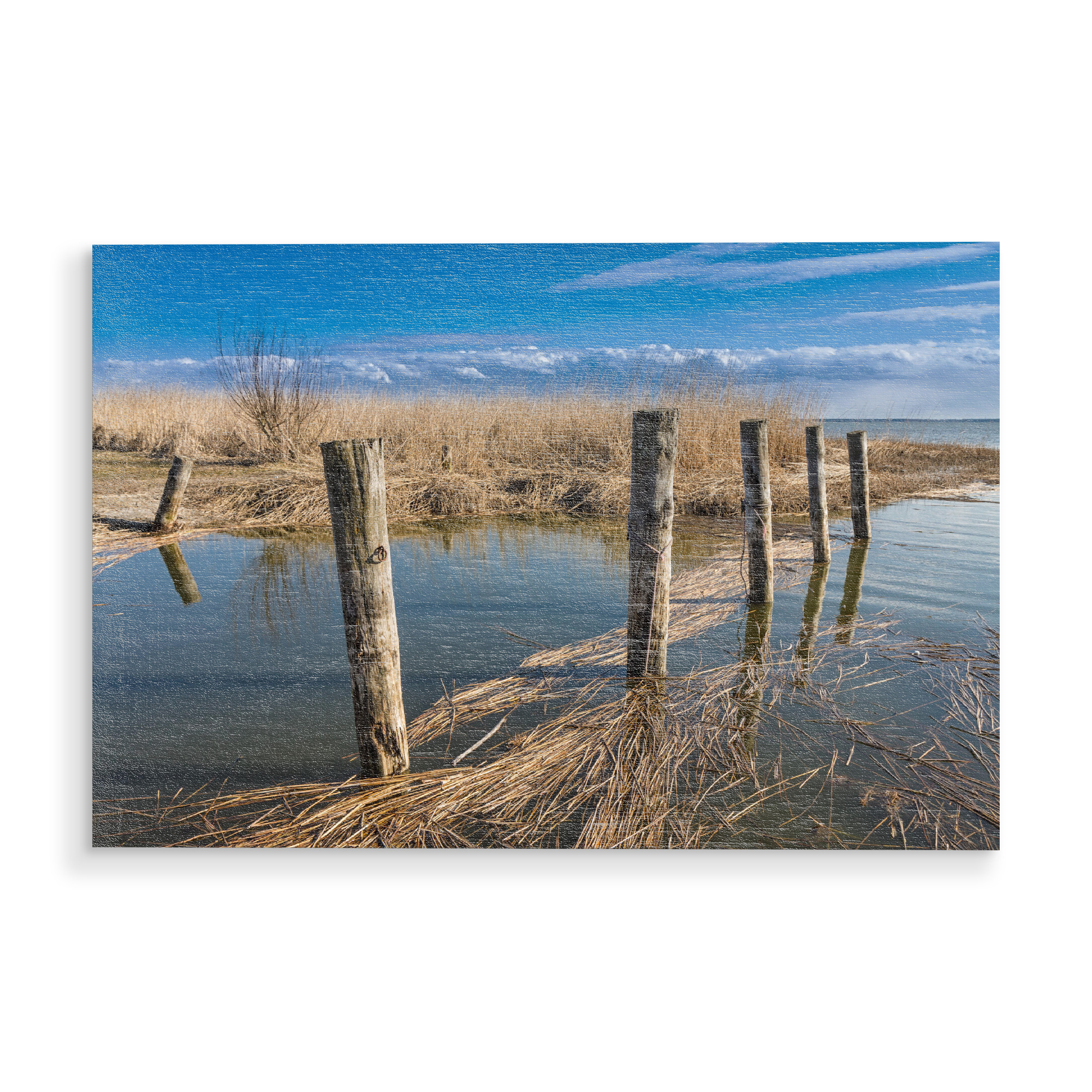 Holzbild "Ahrenshoop Bodden" artboxONE - Natur,Reise