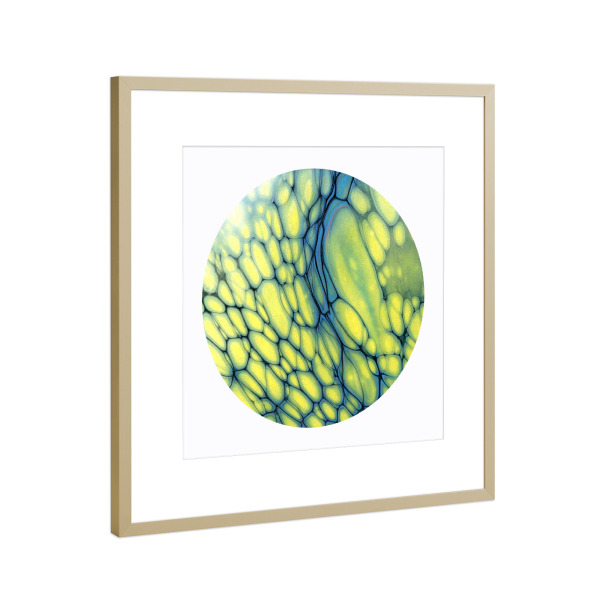 Poster mit Rahmen Gold "Yellow n Blue Cells Art" artboxONE - Abstrakt