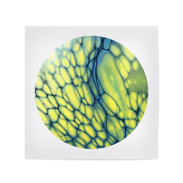 Poster 20x20 cm "Yellow n Blue Cells Art" artboxONE - Abstrakt