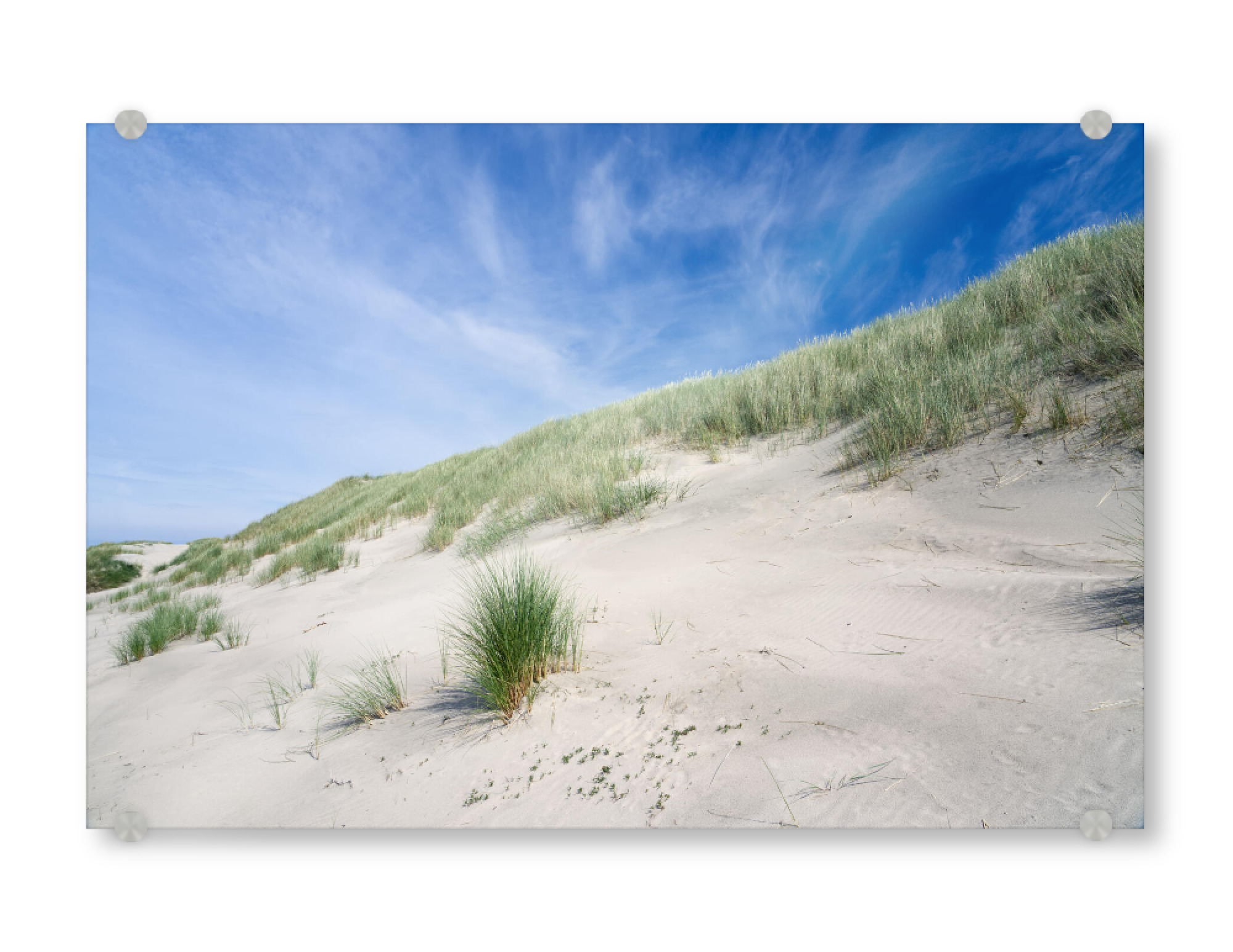 Acrylglasbild "Sommer in den Dünen" artboxONE - Natur,Reise / Strand und Meer
