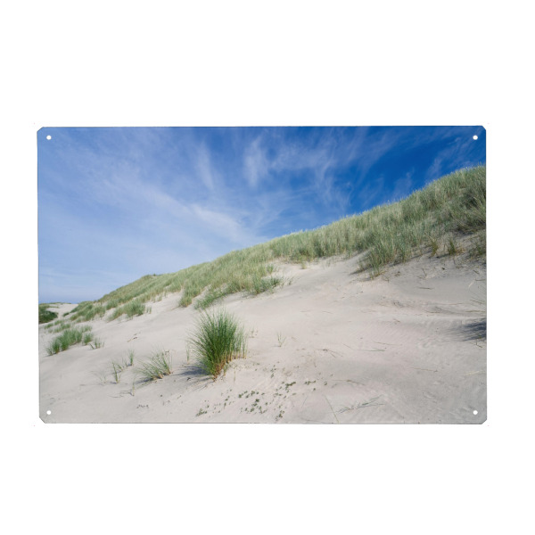 Metall Poster "Sommer in den Dünen" artboxONE - Natur,Reise / Strand und Meer