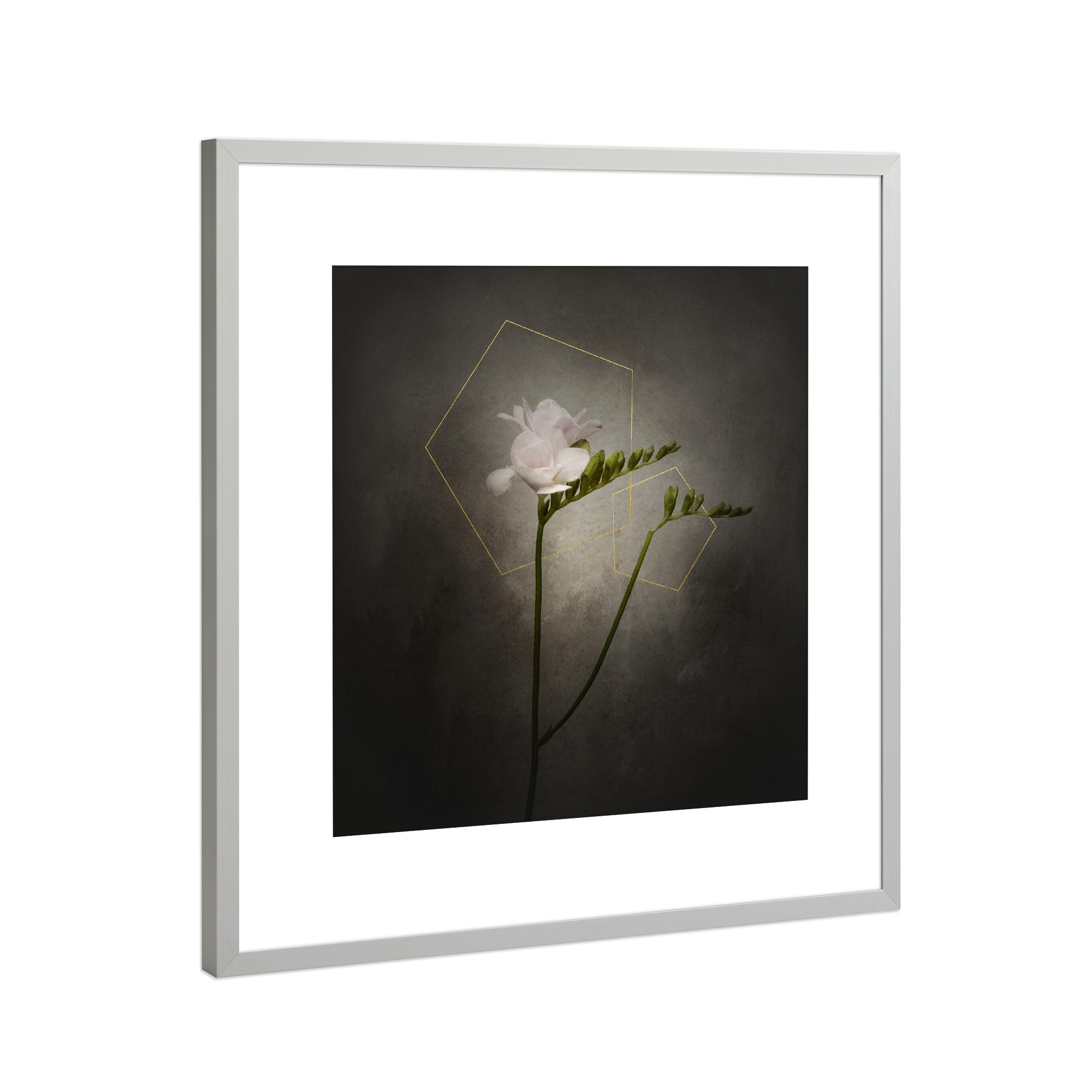 Poster mit Rahmen Silber "Grazile Freesie | Vintage" artboxONE - Natur,Floral