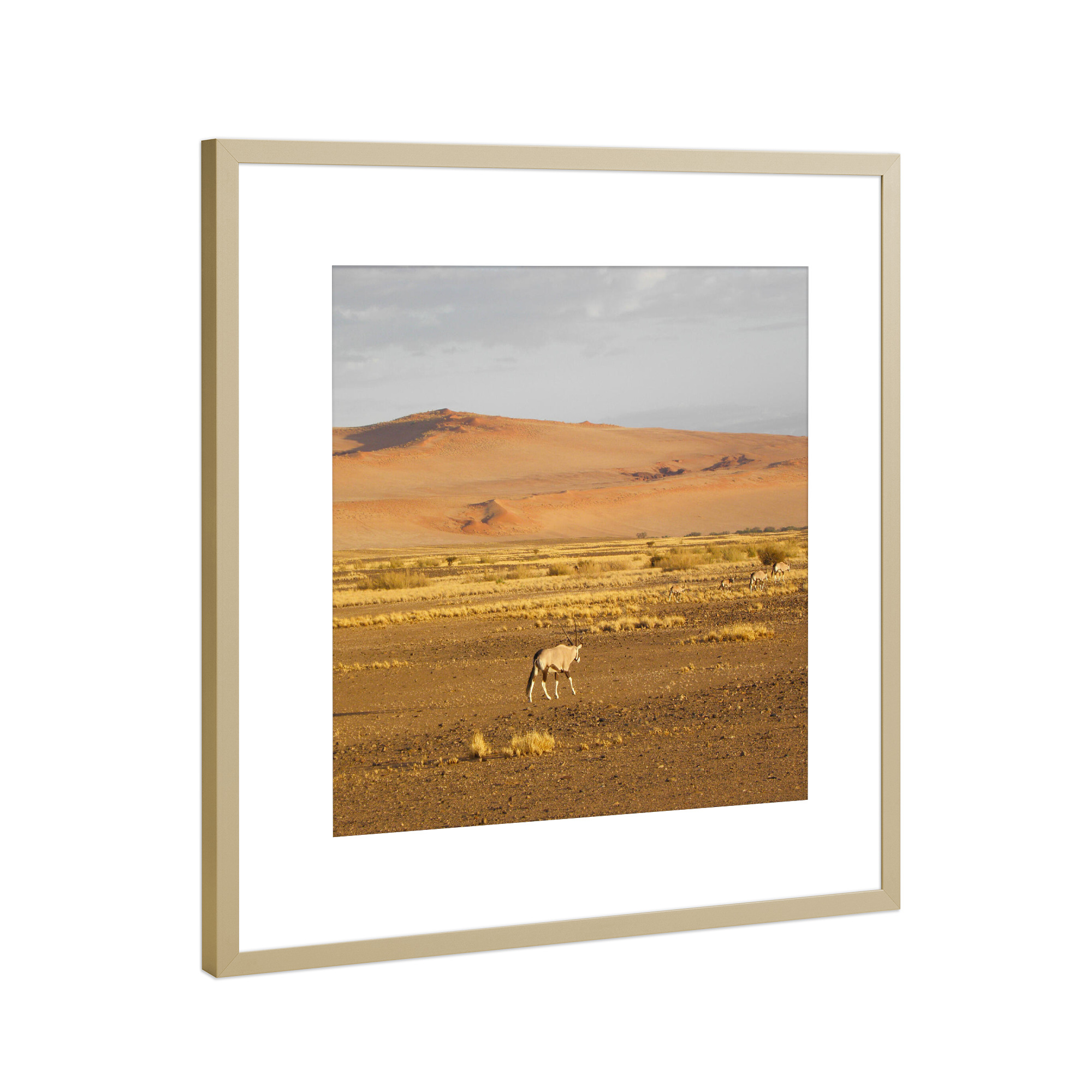 Poster mit Rahmen Gold "Oryx in Namib Desert (NAM)" artboxONE - Natur,Reise,Reise / Afrika