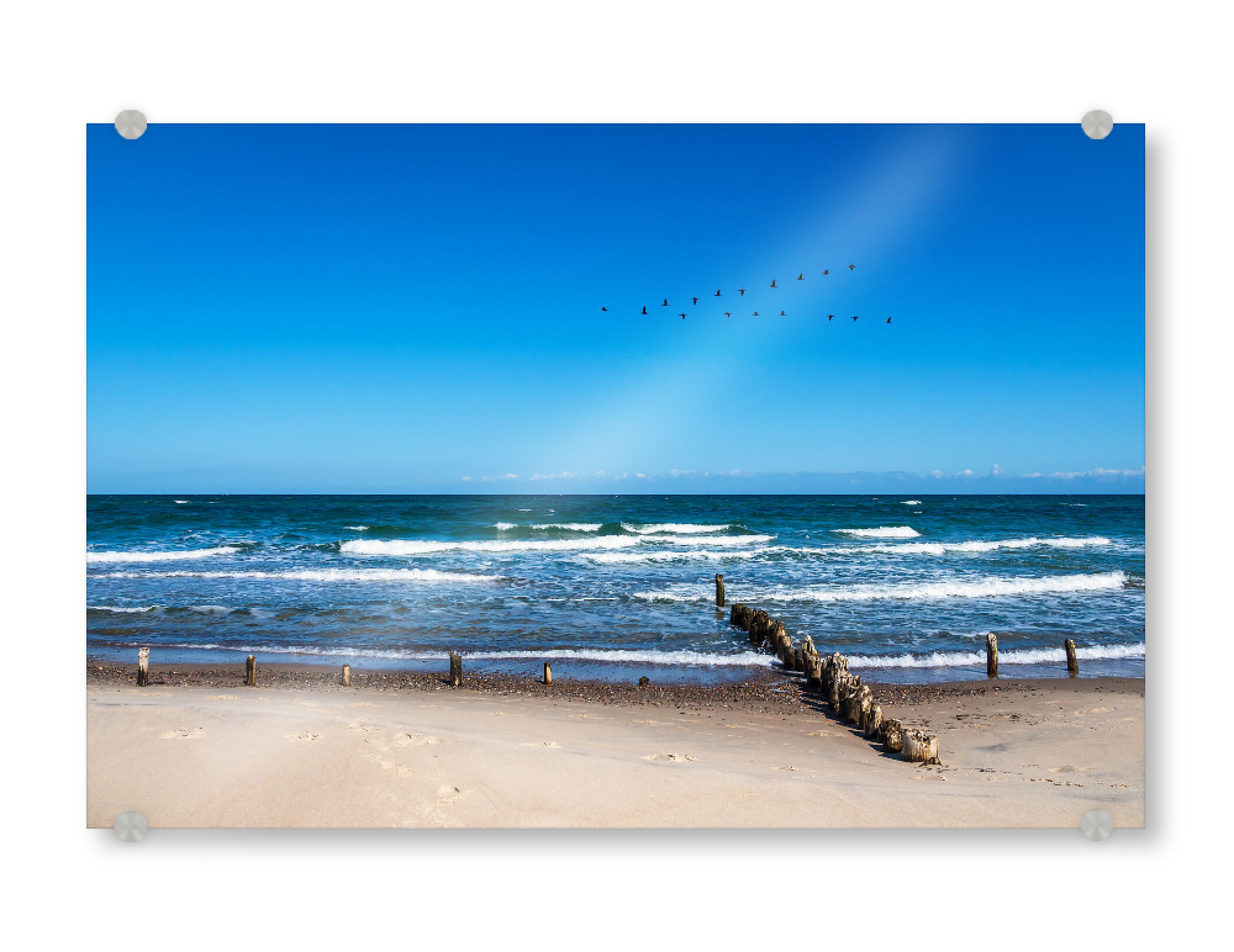 Acrylglasbild "Buhne, Vögel und Wellen" artboxONE - Natur,Reise,Reise / Strand und Meer