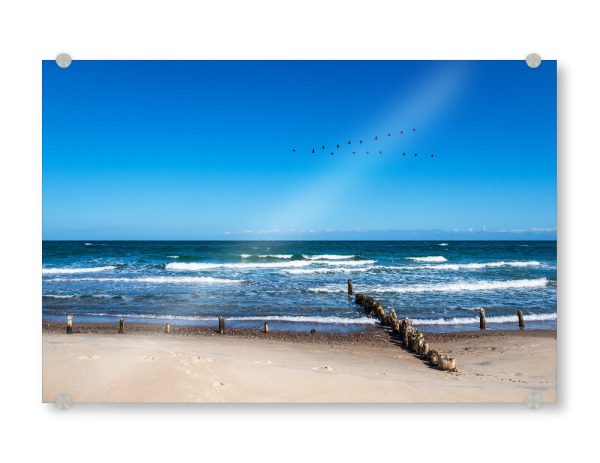 Acrylglasbild "Buhne, Vögel und Wellen" artboxONE - Natur,Reise,Reise / Strand und Meer
