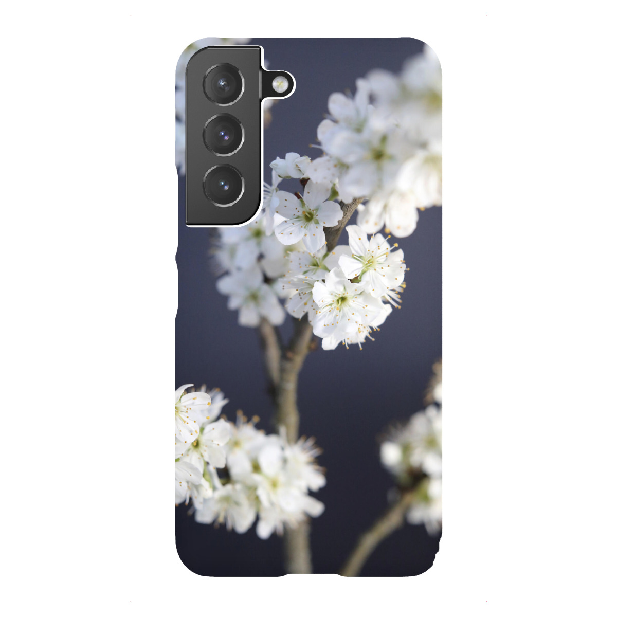 Samsung Galaxy "Zweig mit weißen Pflaumen-Blüten" Premium-Case Handyhülle artboxONE