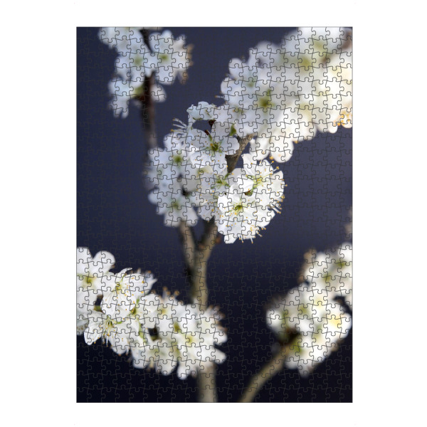 Puzzle Ravensburger "Zweig mit weißen Pflaumen-Blüten" artboxONE - Natur,Floral,Abstrakt,Reise / Asien,Für Mama