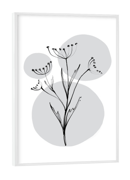 Poster mit weißem Rahmen "Buffiere - Botanicals Karotte" artboxONE - Natur,Floral,Essen & Trinken / Obst & Gemüse