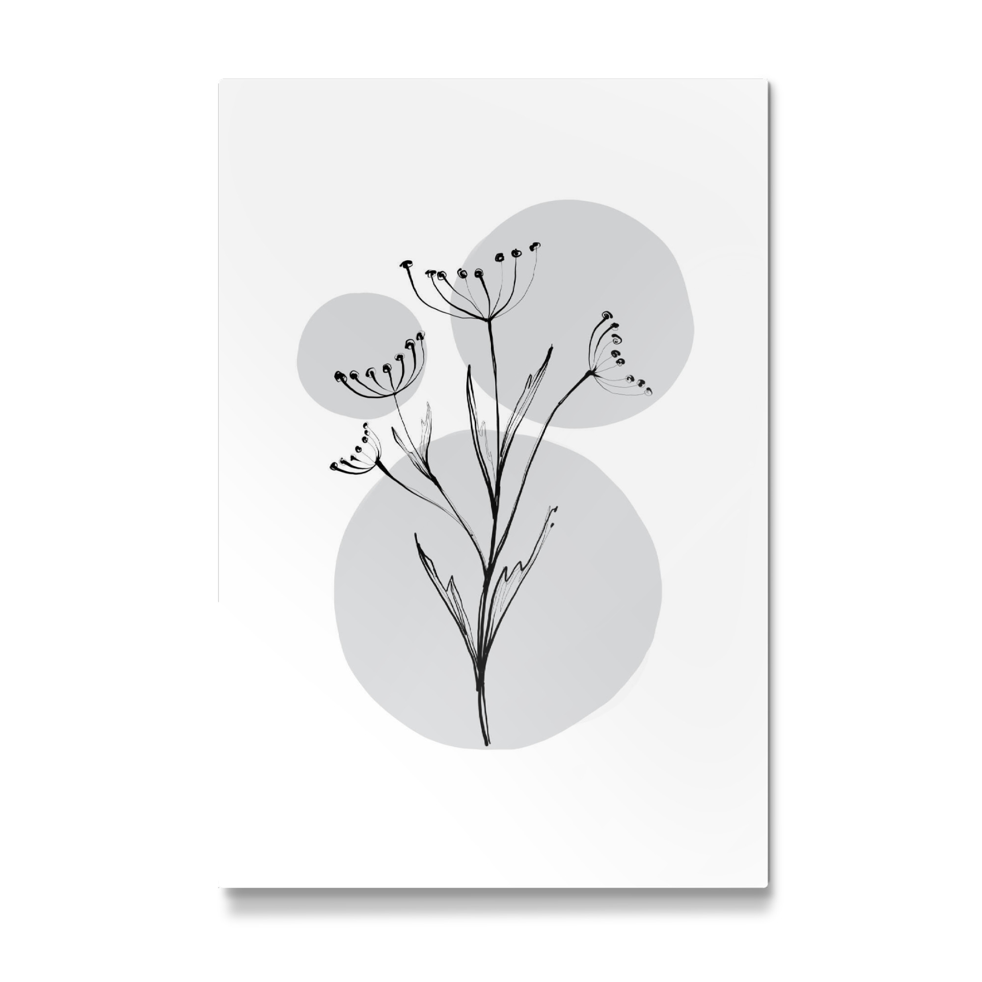 Galerie-Print "Buffiere - Botanicals Karotte" 75x50 cm artboxONE