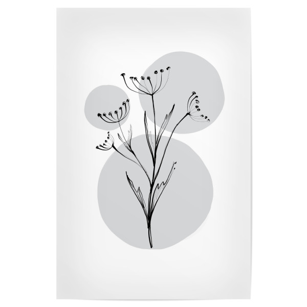 Poster 30x20 cm "Buffiere - Botanicals Karotte" artboxONE - Natur,Floral,Essen & Trinken / Obst & Gemüse