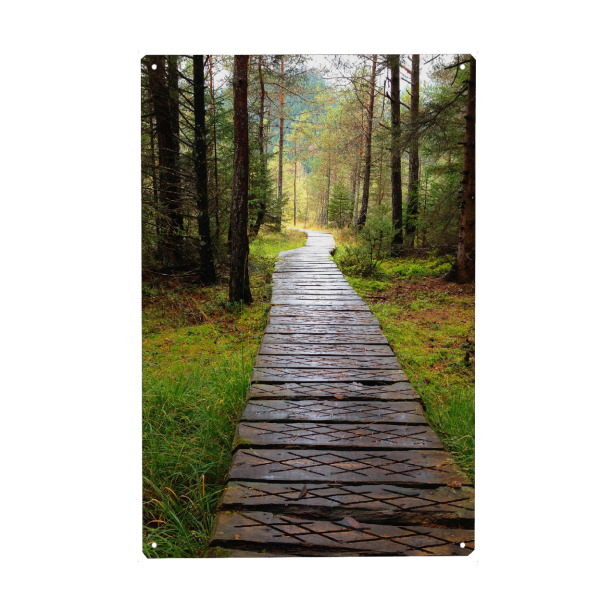 Metall Poster "Holzpfad durch den Wald" artboxONE - Natur,Reise - Wald,Pfad,Nass,Gras,Bäume,Alpen,Holz,Wandern,Tirol,Grün,Weg,Natur,Nature,Forest