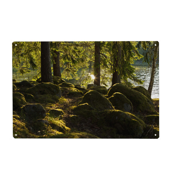 Metall Poster "Sonnenstrahl im Wald" artboxONE - Natur,Reise,Reise / Länder