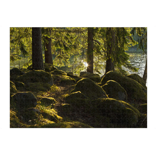 artboxONE Puzzle "Sonnenstrahl im Wald" artboxONE - Natur,Reise,Reise / Länder