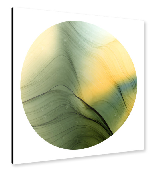 Alu-Dibond "Day Light in Forest - Art" 30x30 cm artboxONE