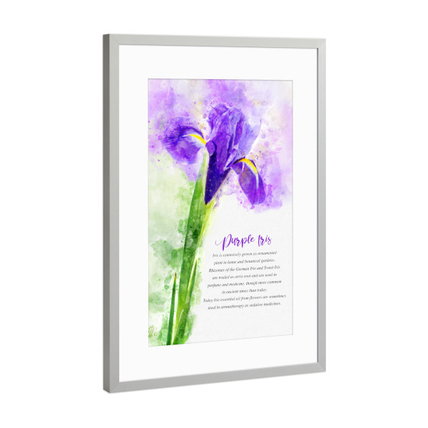 Poster mit Rahmen Silber "Purple Iris" artboxONE - Natur,Floral