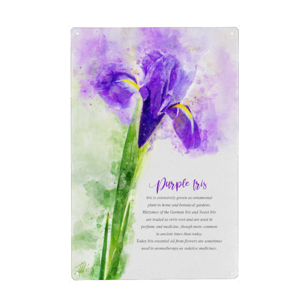 Metall Poster "Purple Iris" artboxONE - Natur,Floral